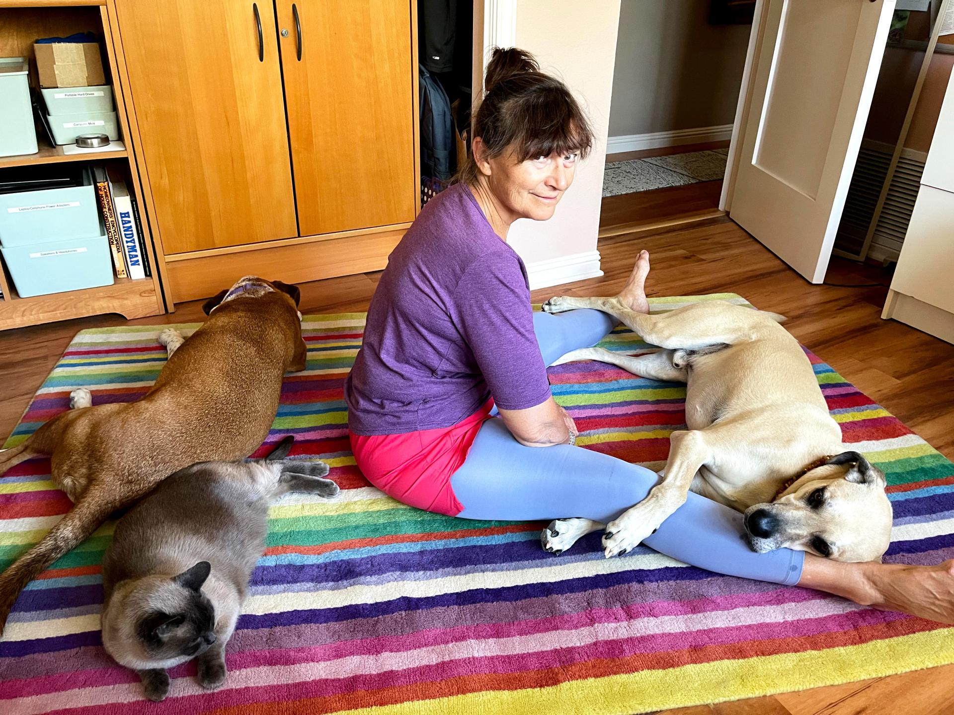 Nancy with Yogi and Tank the dogs and Pong the cat on a colorful blanket on the floor