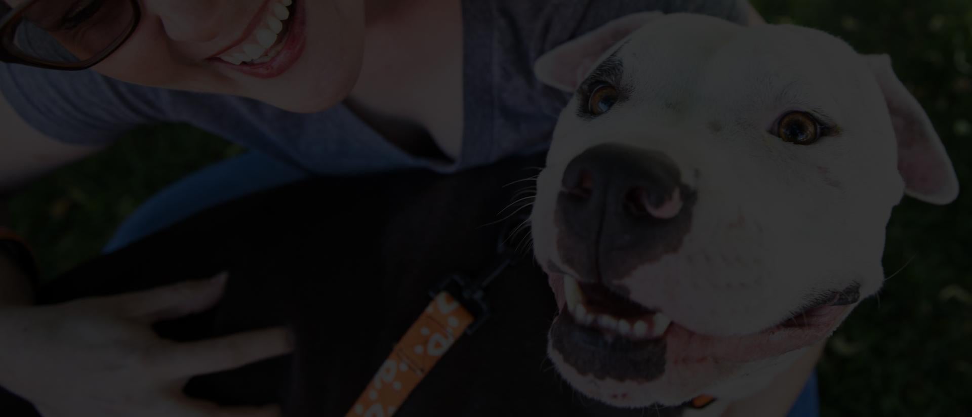 Adopt Salt Lake City Best Friends Animal Society Save Them All