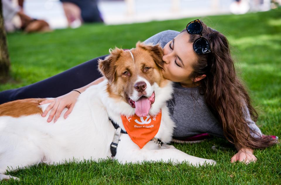 Smiling person relaxing in a grassy spot with a happy big dog