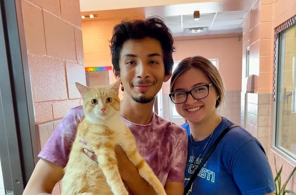 Two smiling people standing together while holding a cat