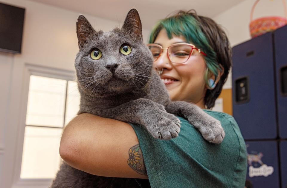 Smiling person holding a cat