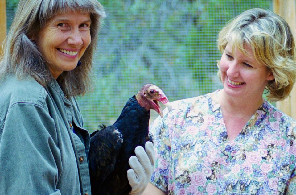 Two woman with large bird in enclosure