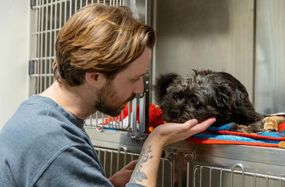 Shelter worker encouraging a scared dog. 