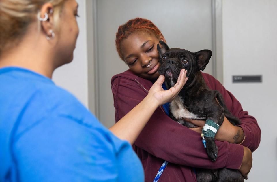 A woman gently holds a dog in a shelter.