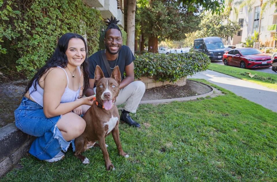 Couple kneeling down, holding a leashed dog outside.