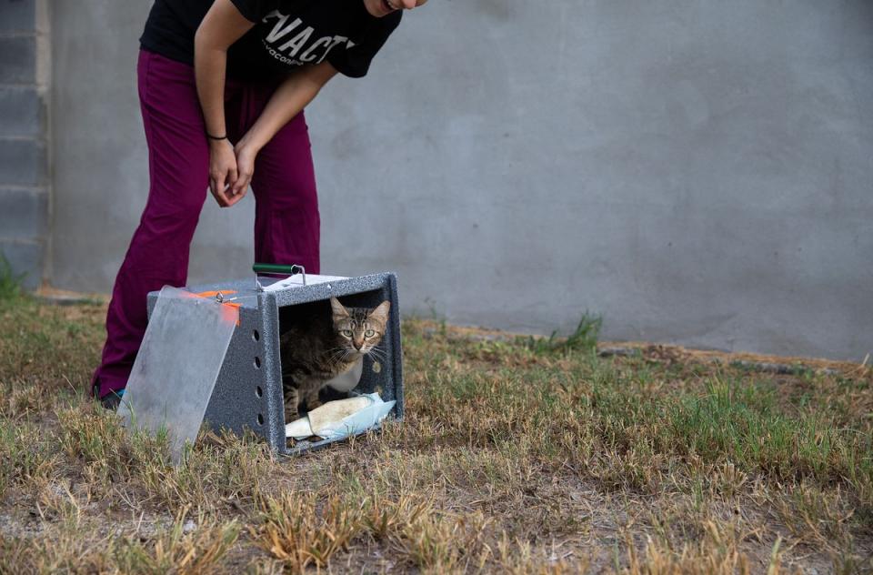 Community cat release