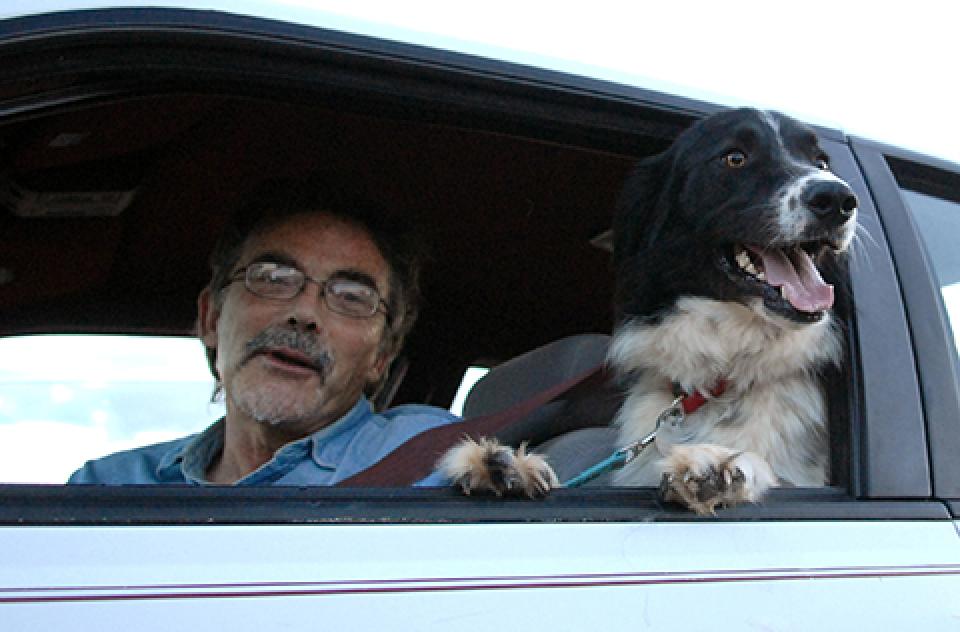 Antony Gleeson in a vehicle with a dog