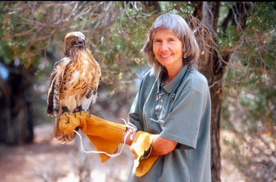Sharon St. Joan holding a bird of prey on a gloved hand