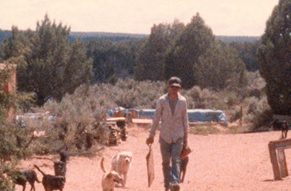Tyson Horn walking outside with a pack of dogs