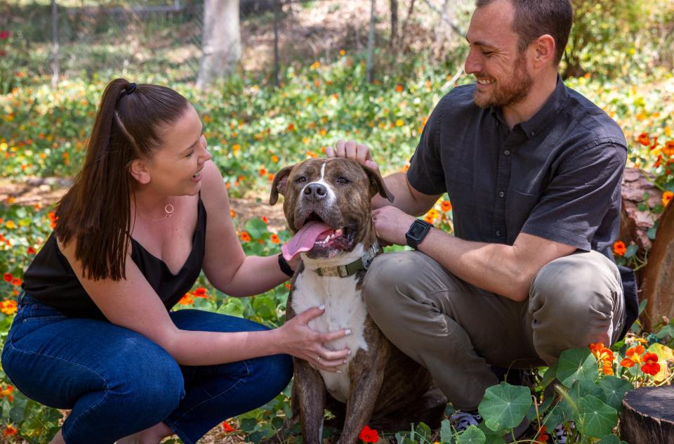 woman and man in yard with flowers and large brown and white dog