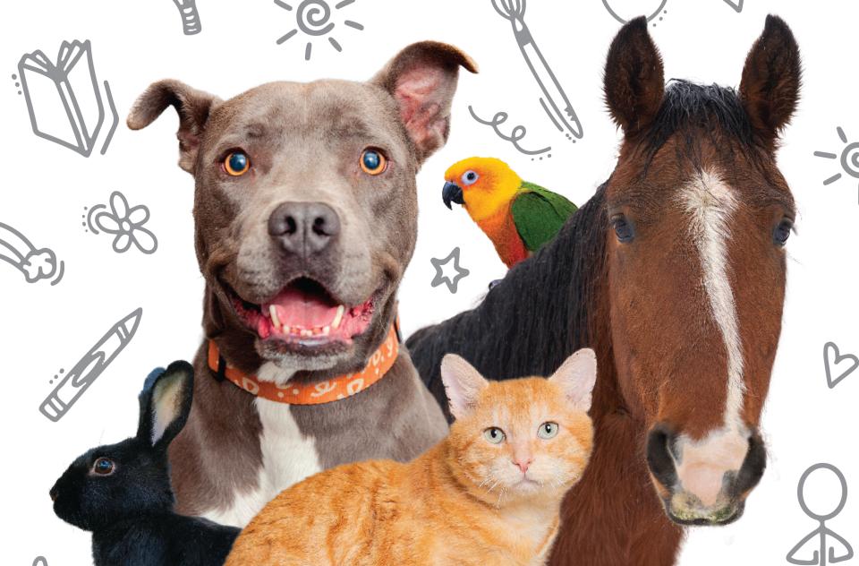 dog, horse, bird, rabbit, and, cat collage with doodle background