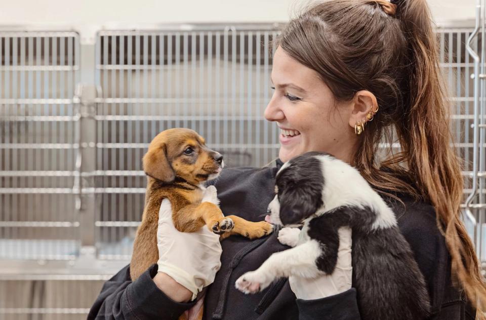 Smiling shelter employee holding up two puppies, standing in front of empty cages.
