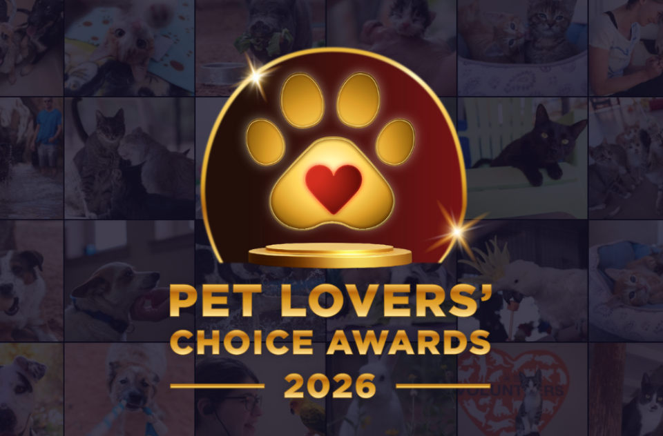 2026 Pet Lovers Choice Awards graphic