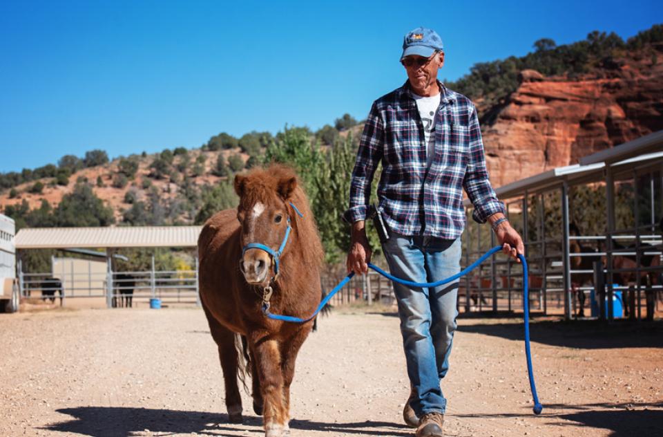 Man walking at Sanctuary with brown miniature horse