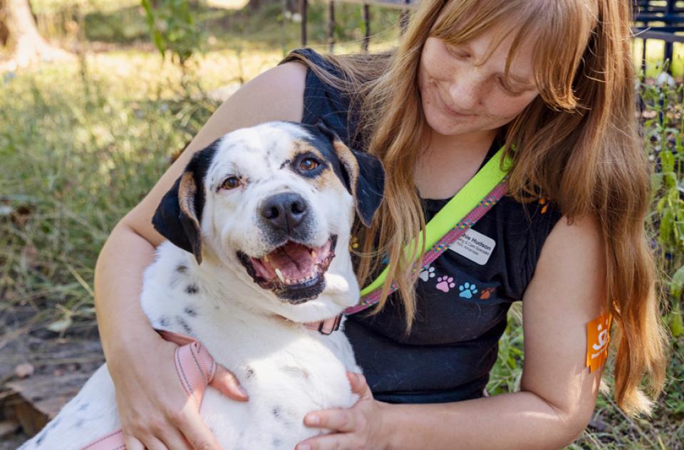 Woman holding large white and black dog in grassy area