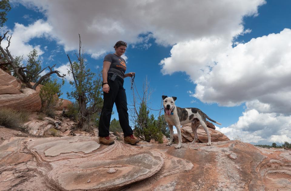 Person on hike in canyon with brown and white dog