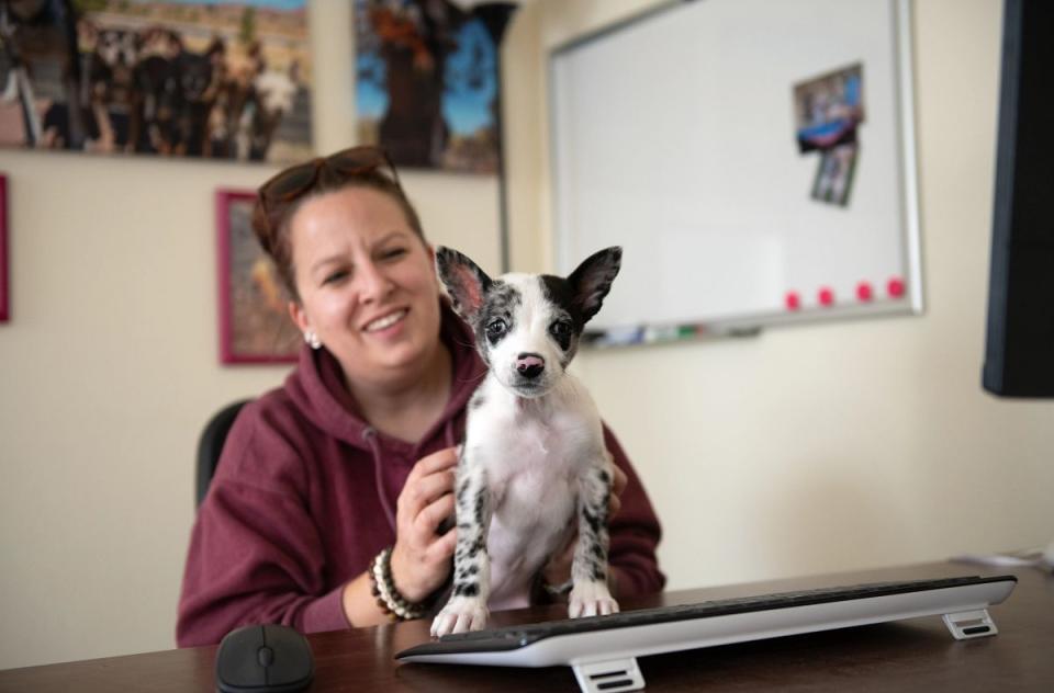 Woman with small dog standing on a keyboard