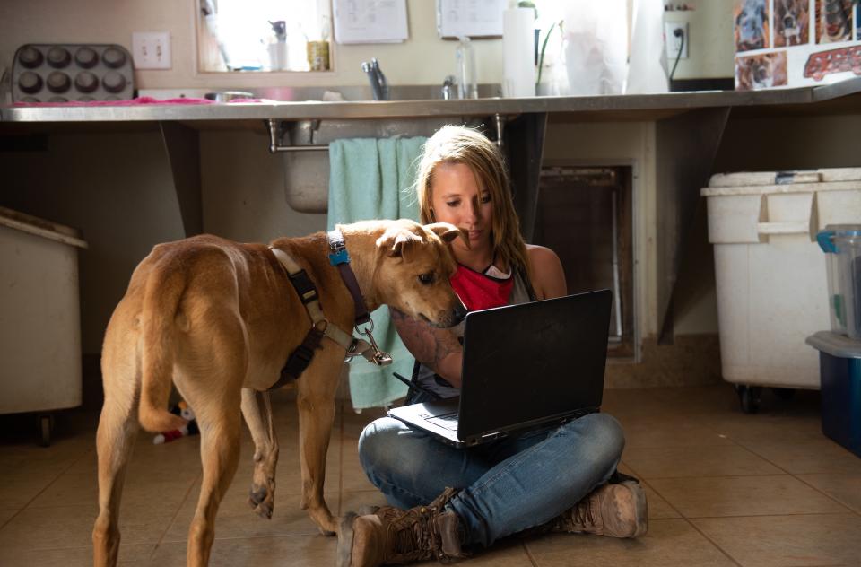 Woman sitting with a laptop on the floor with a dog looking at the laptop