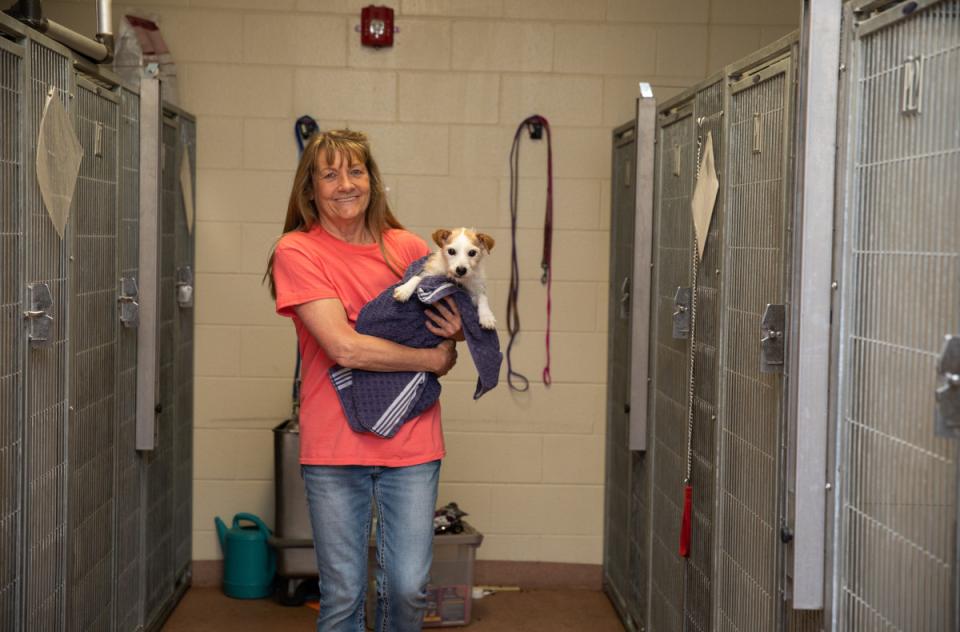 Woman in orange tshirt holding a white and brown puppy