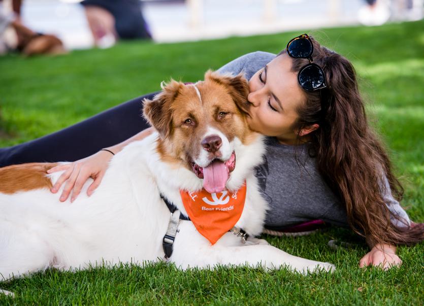 Smiling person relaxing in a grassy spot with a happy big dog