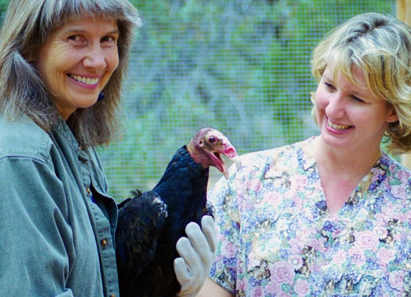 Two woman with large bird in enclosure