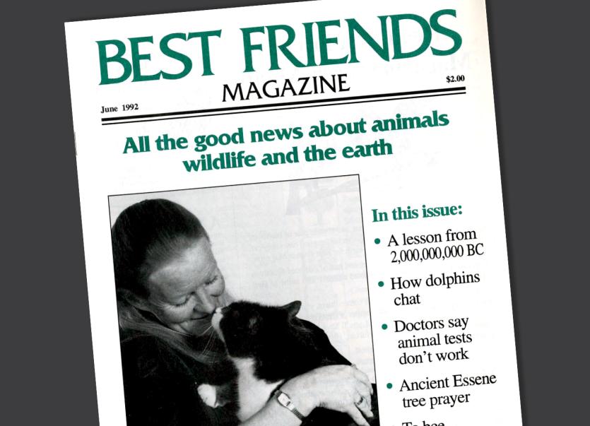 Cover of old Best Friends Magazine issue