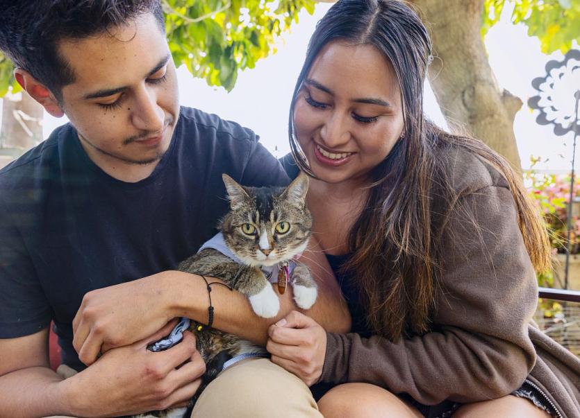 Couple holding a cat outside.