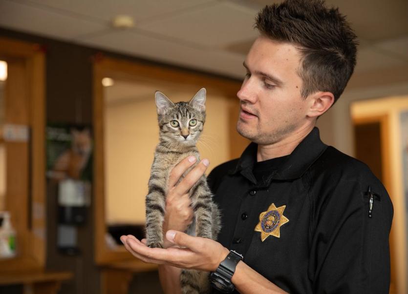 ACO holding a cat