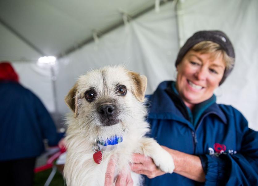 A woman smiles while holding a small dog inside a tent.