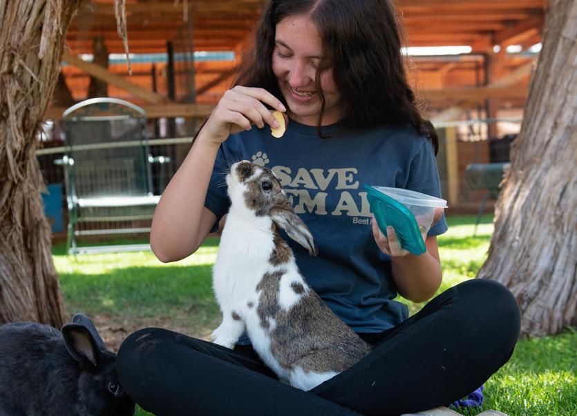 Intern sitting in grass and feeding brown and white bunny in her lap