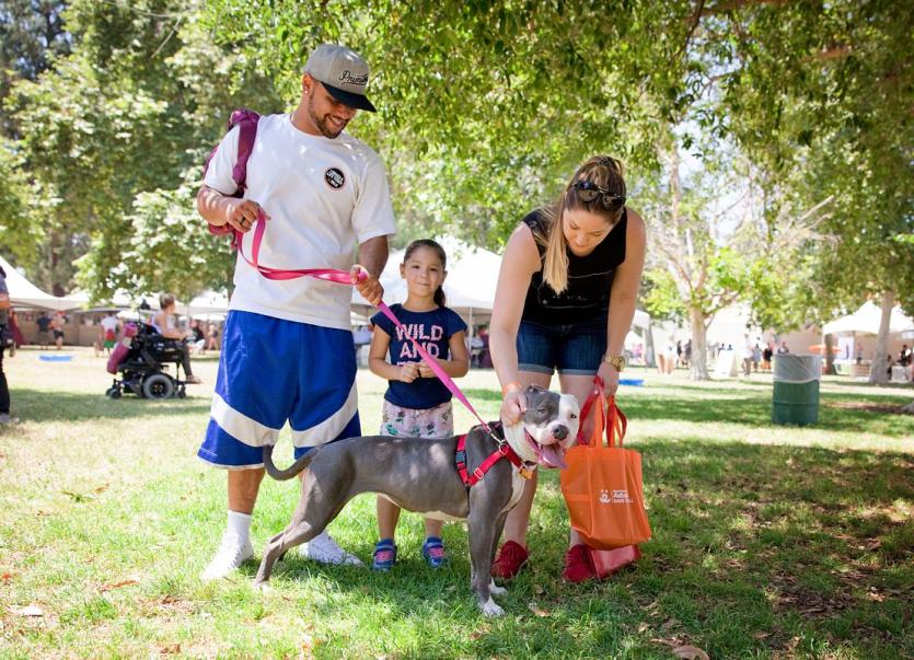 Family of three holding leash to a dog outside.