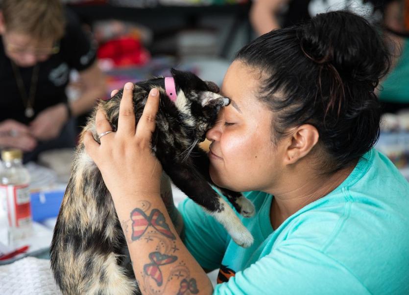 Woman touching noses with kitten.