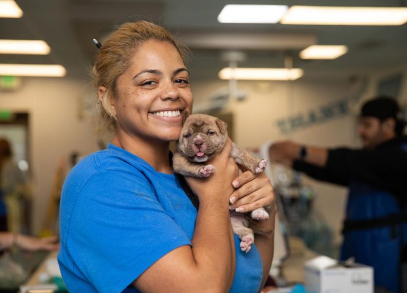 A woman in a blue shirt smiles while holding a small puppy in her arms