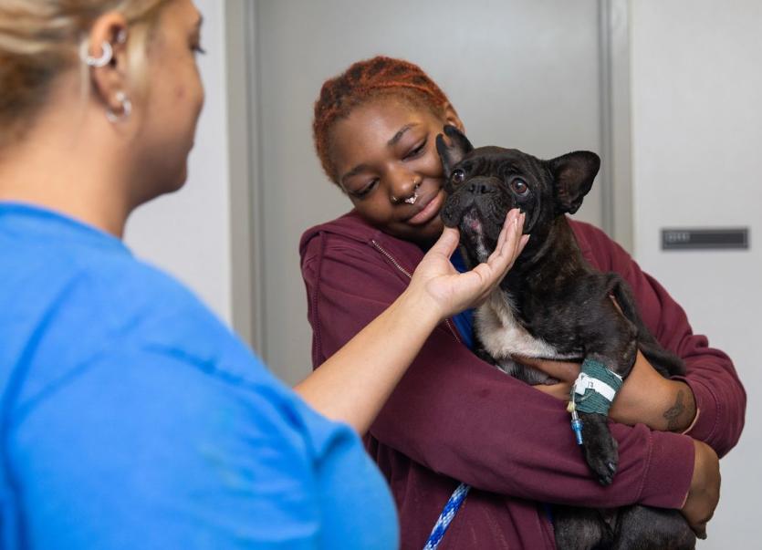 A woman gently holds a dog in a shelter.