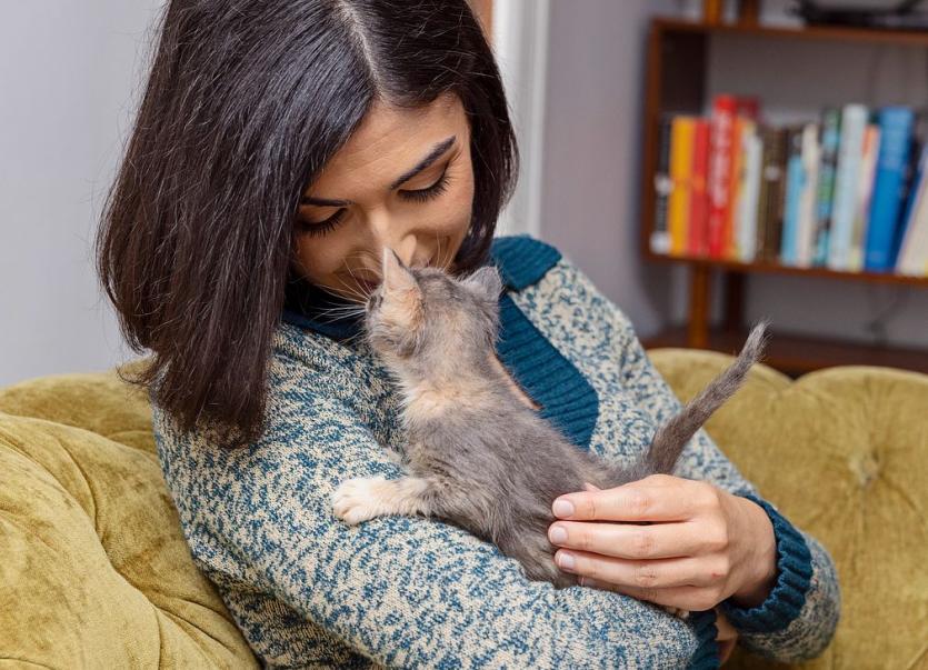 Woman cuddling with her kitten foster.