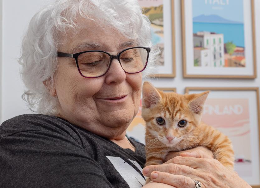senior woman holding orange kitten