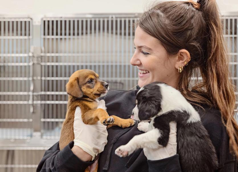 Smiling shelter employee holding up two puppies, standing in front of empty cages.