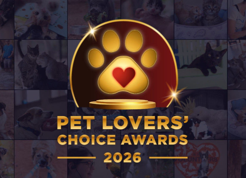 2026 Pet Lovers Choice Awards graphic