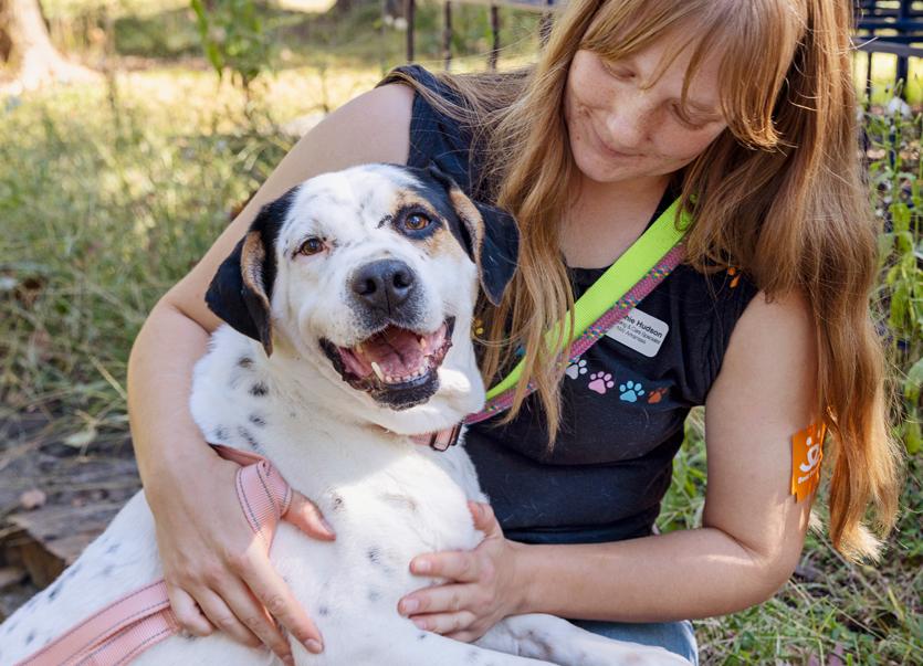 Woman holding large white and black dog in grassy area