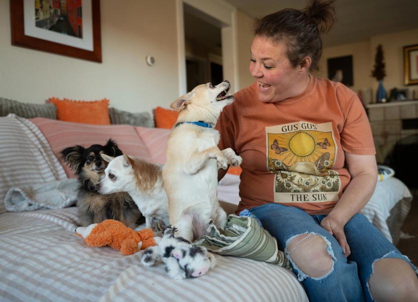 Woman with her dogs on the couch