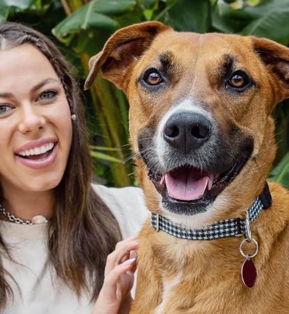 Smiling brown dog being hugged by happy woman