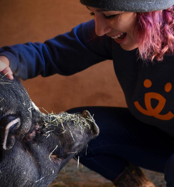 Smiling person kneeling down to pet a pig