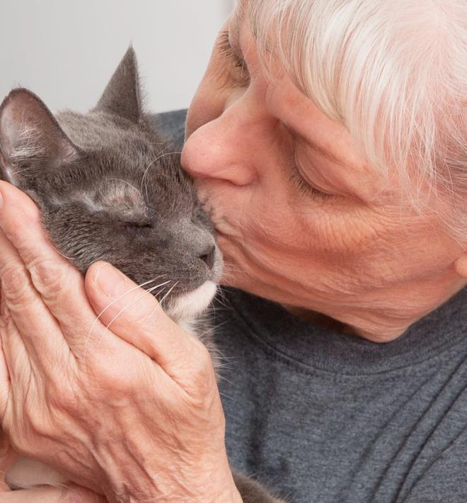 Older woman holding and kissing grey cat
