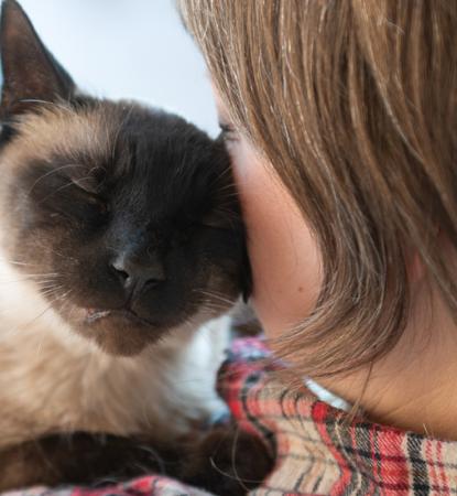 Person snuggling a cat on their shoulder