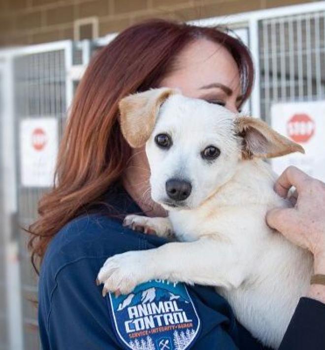 Animal control officer holding small dog on shoulder in front of kennels.