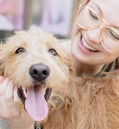 Person smiling at a dog they're petting
