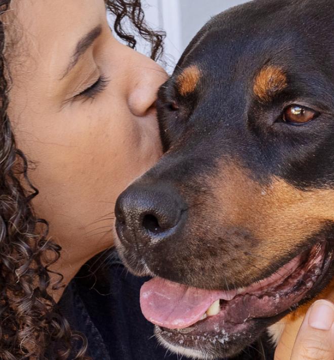 Person sitting on an outdoor step hugging a dog while sitting next to them