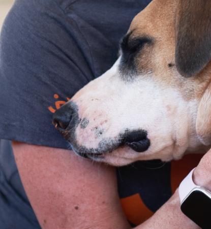 Person kneeling down to hug a dog
