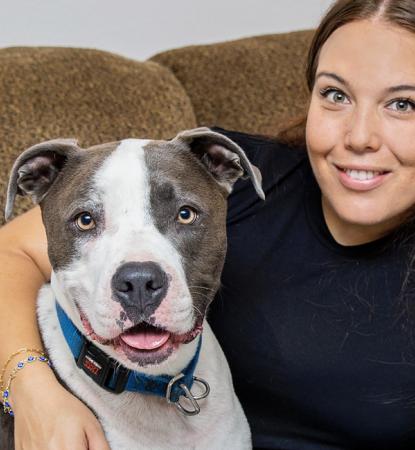 Smiling person with her arm around a happy gray and white pit bull terrier, both on a couch