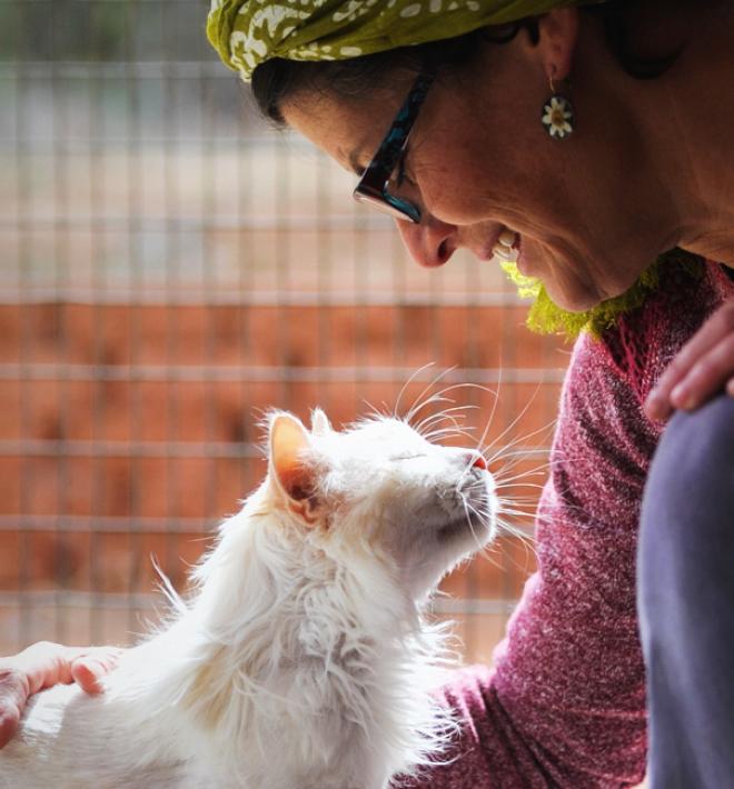 cat getting pets from smiling woman